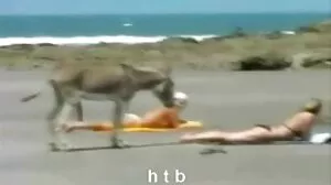 Cum On Alien Dick - 12 σεξ μασαζ βιντεο Orgasms