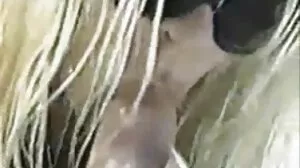 Super σεξ βιντεο φρι Soaked Squirters